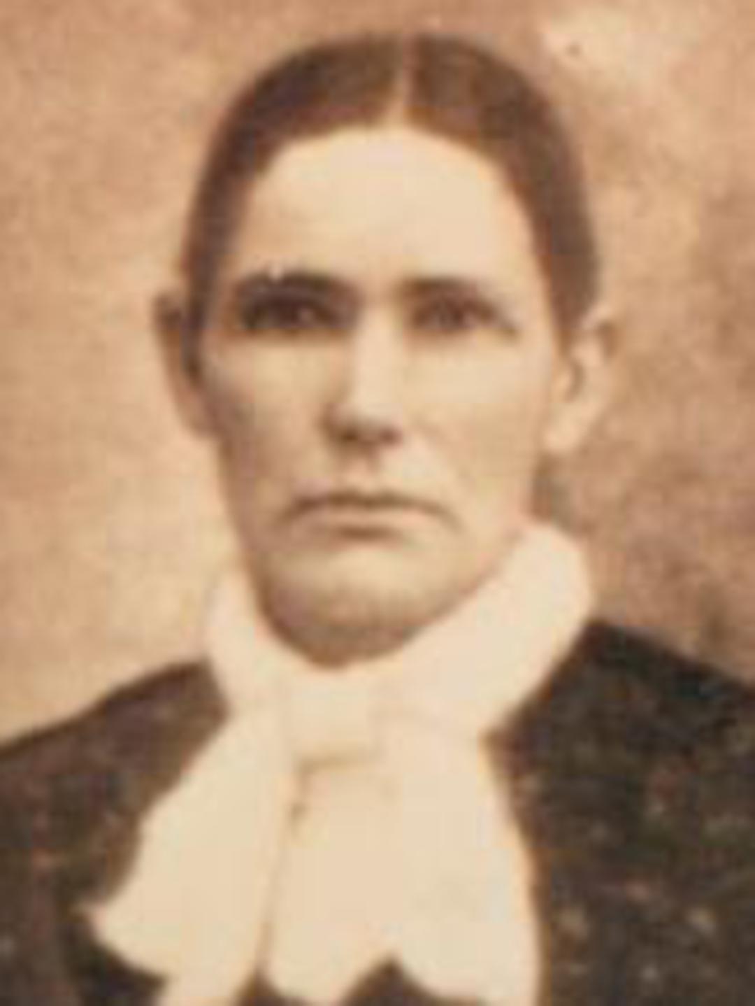 Agnes McIntire (1830 - 1900) Profile